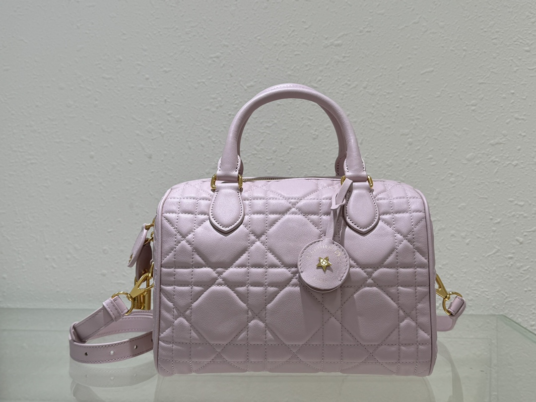 Dior Groove 25 Bag Pale Pink Macrocannage Calfskin